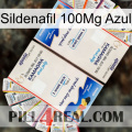 Sildenafil 100Mg Blue kamagra1